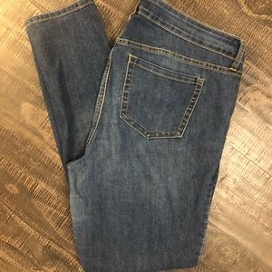 Torrid Denim Skinny Jeans